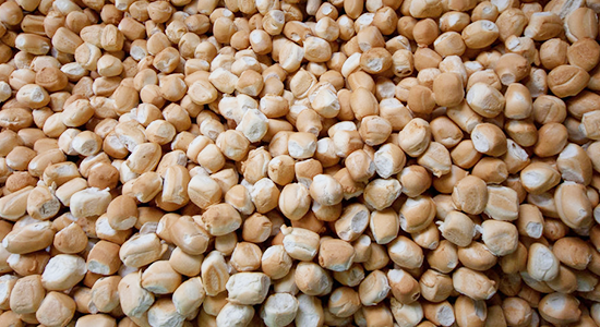 Bread Improvers Nutrition